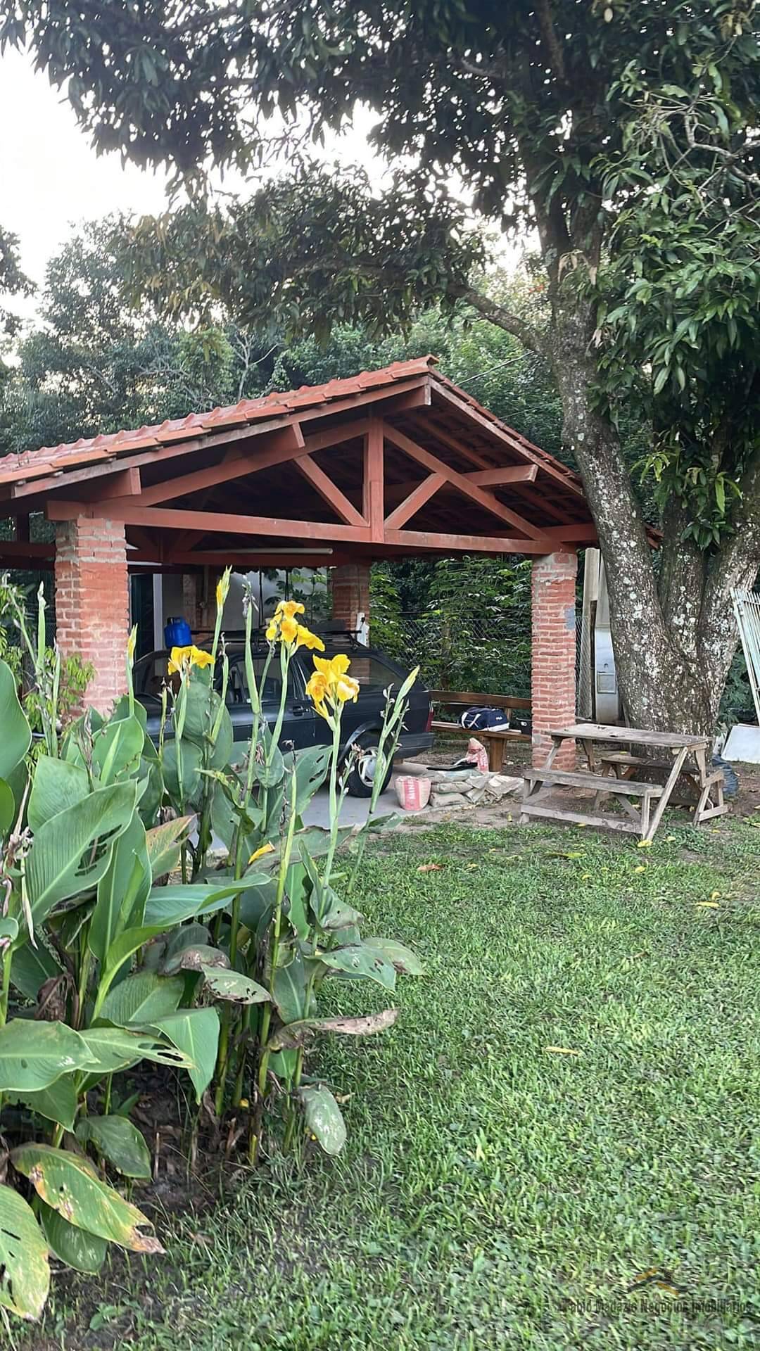 Chácara à venda com 3 quartos, 7800m² - Foto 5
