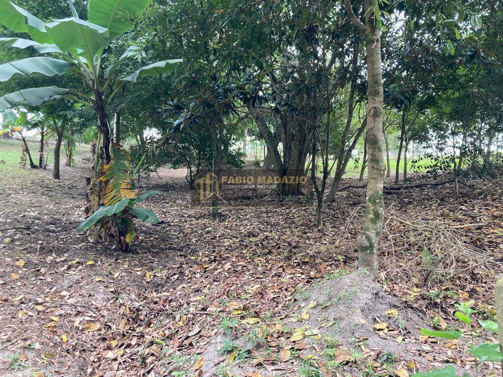 Chácara à venda com 2 quartos, 140m² - Foto 19