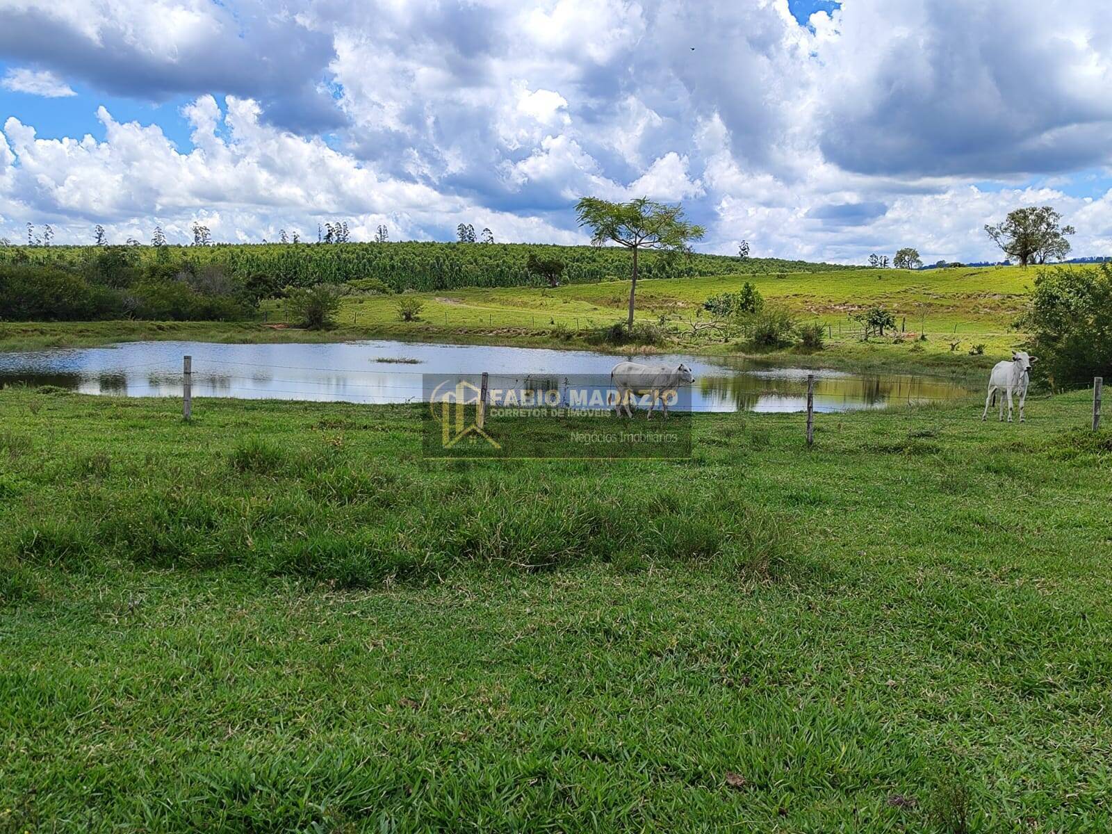 Terreno, 294 m² - Foto 6