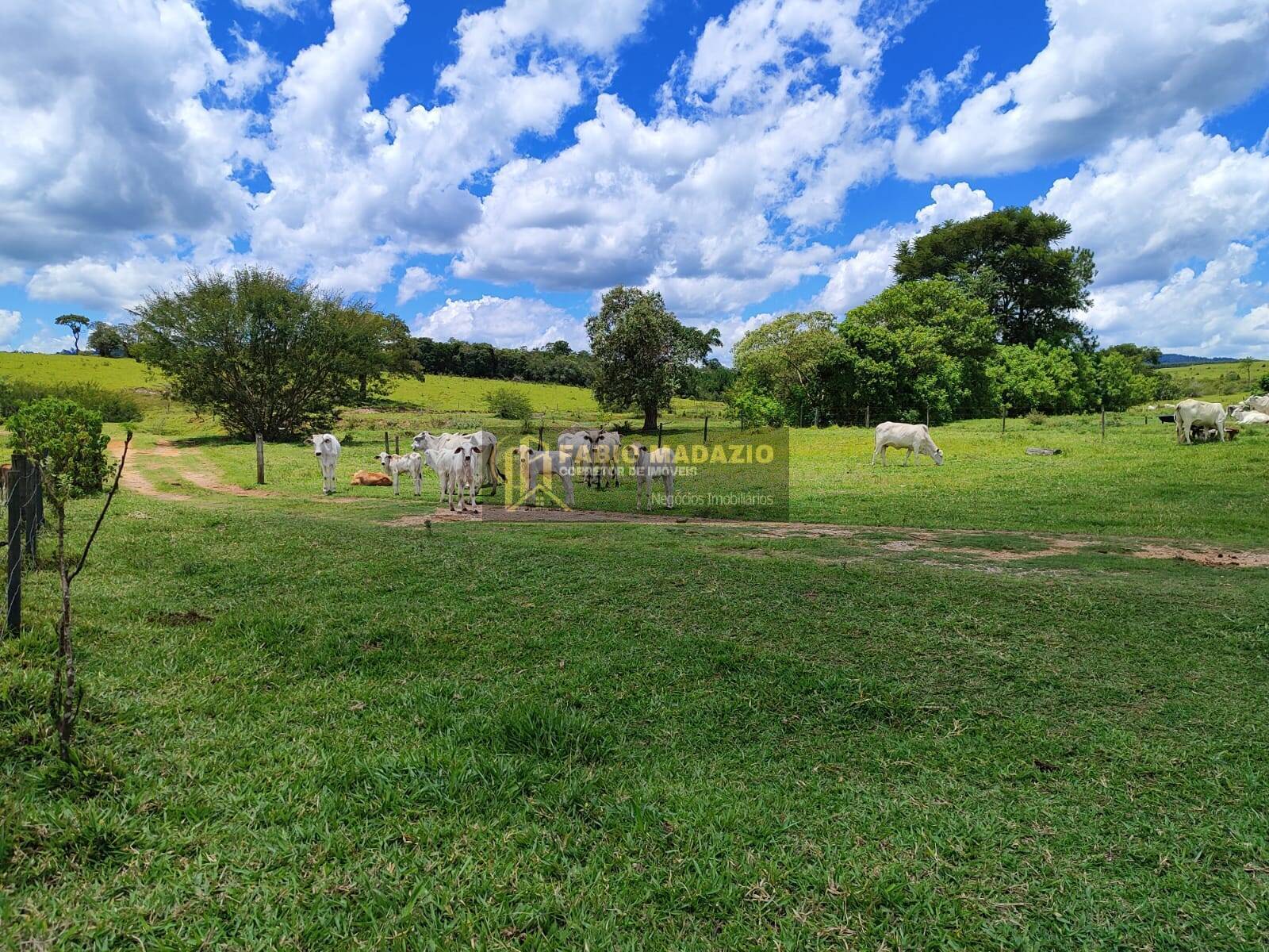 Terreno, 294 m² - Foto 7