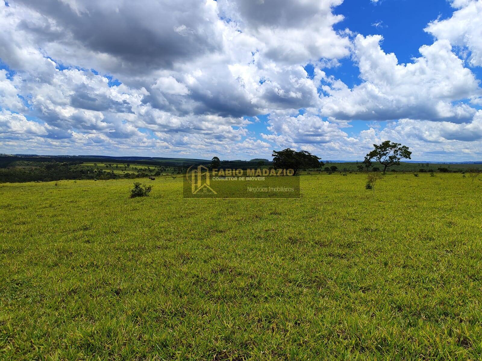 Terreno, 294 m² - Foto 9