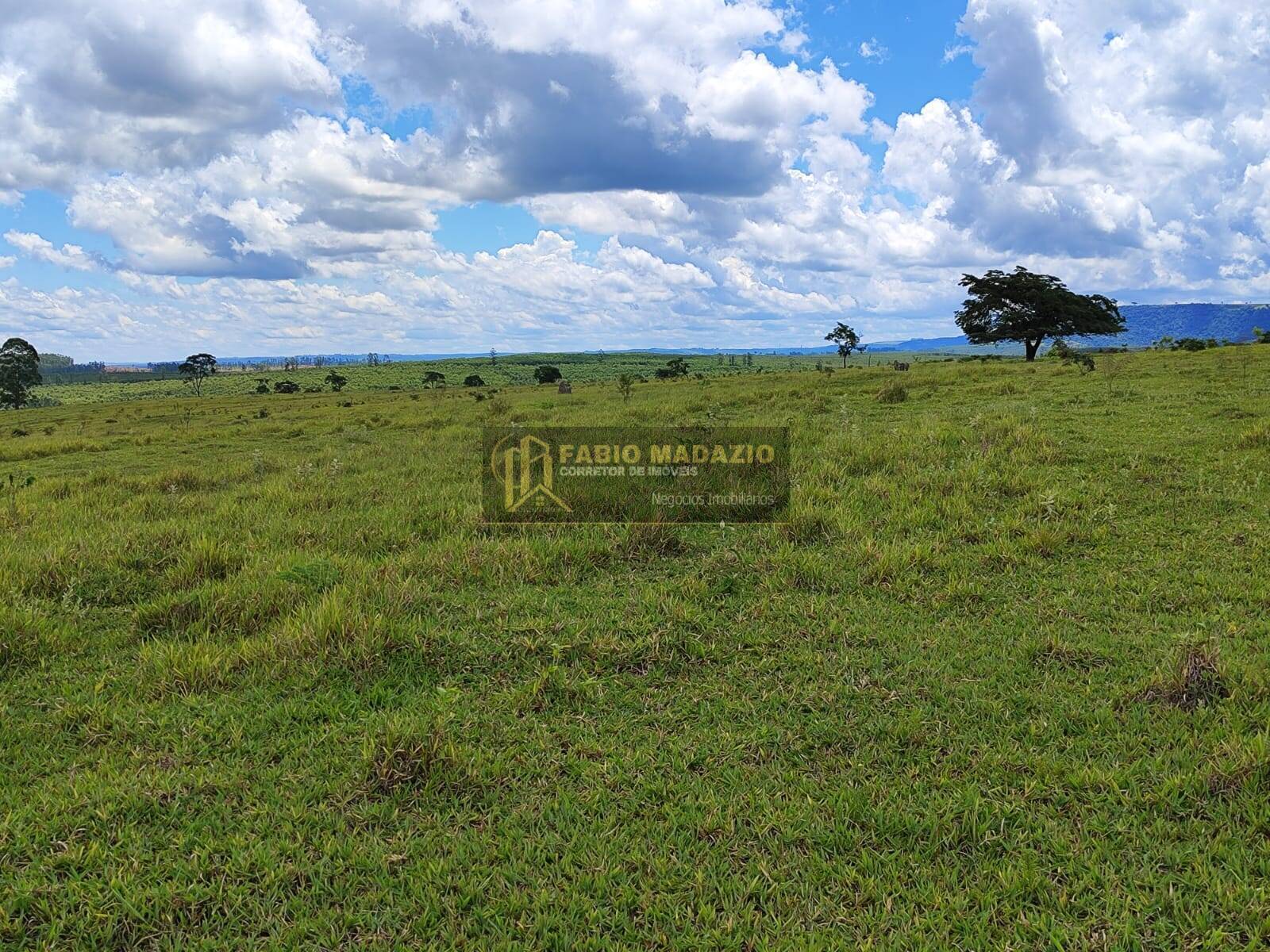 Terreno, 294 m² - Foto 11