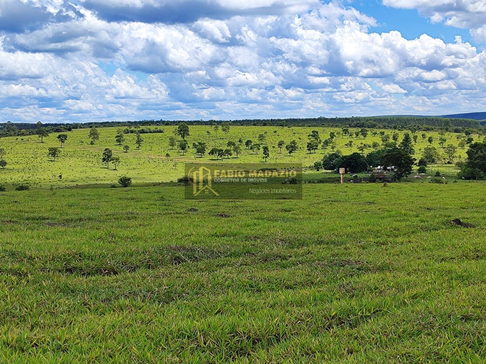 Terreno, 294 m² - Foto 13