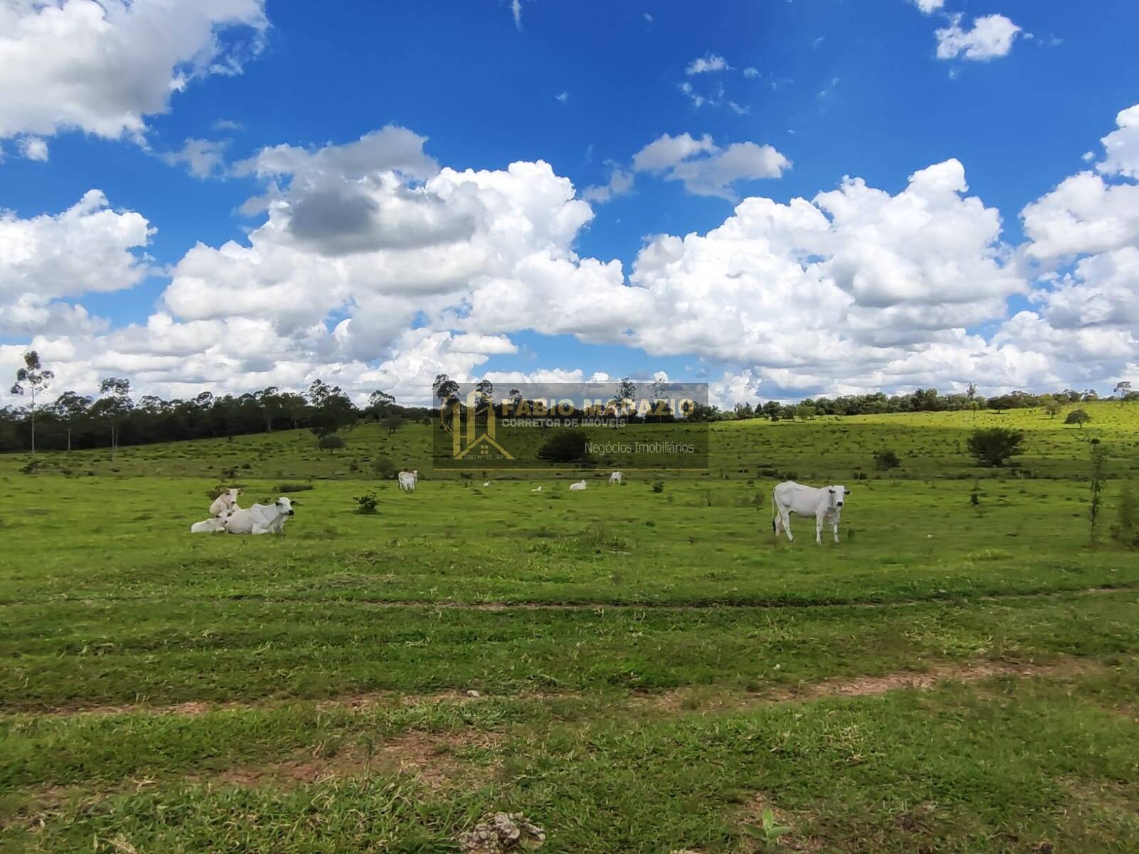 Terreno, 294 m² - Foto 2