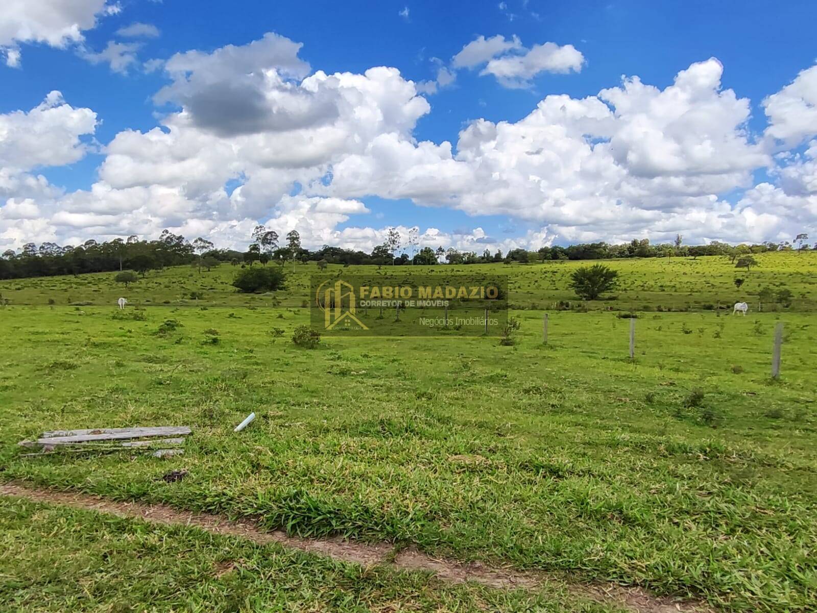 Terreno, 294 m² - Foto 14