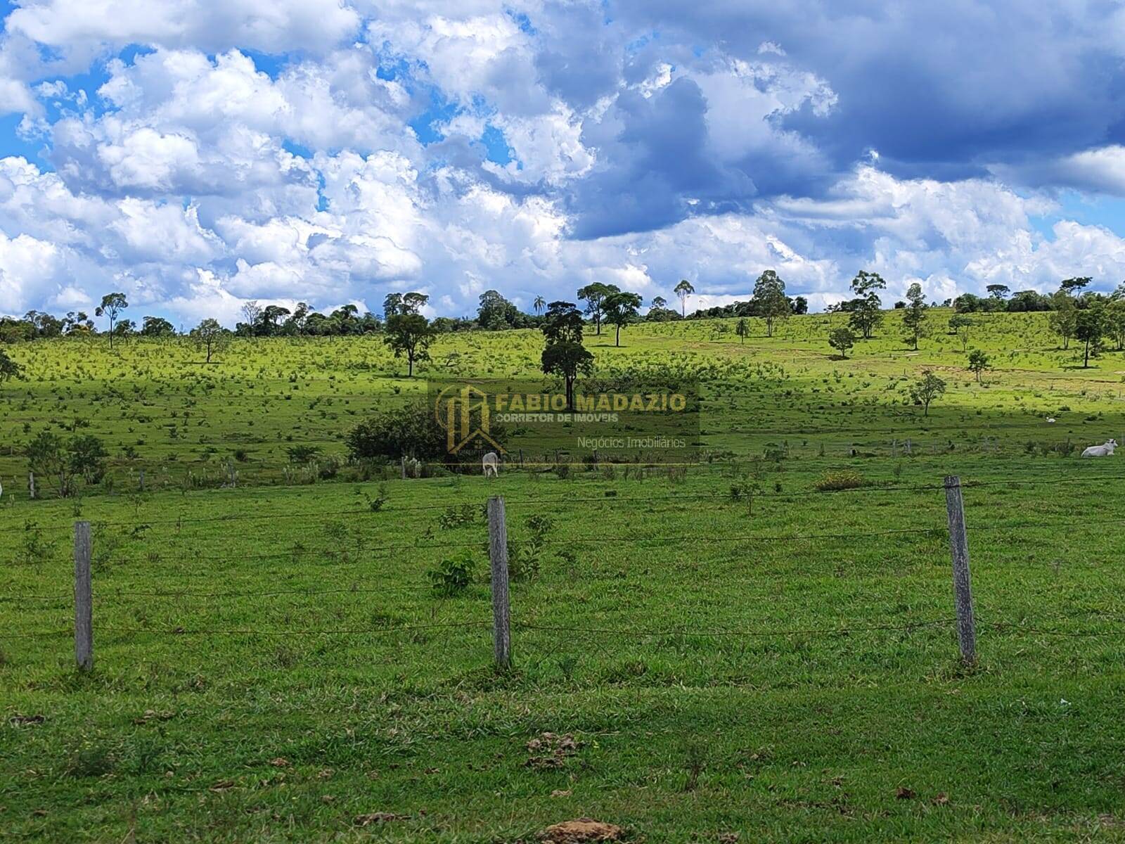 Terreno, 294 m² - Foto 15