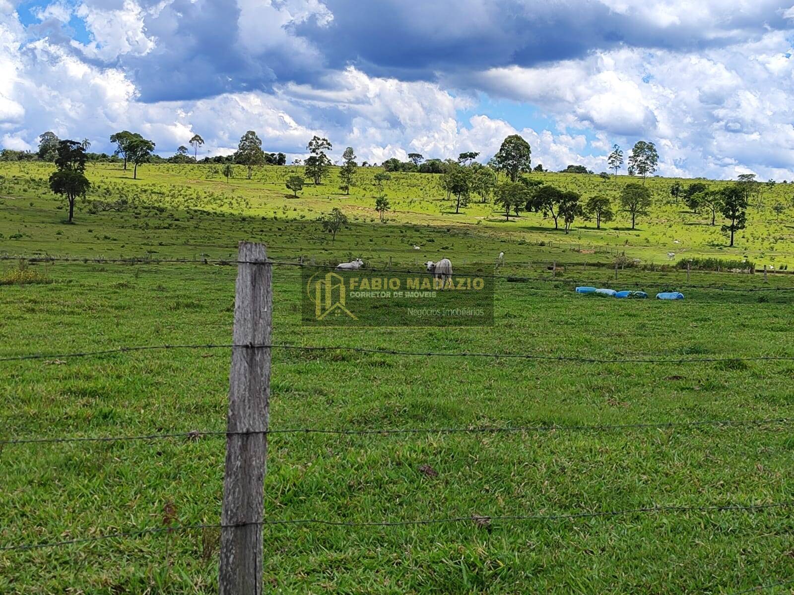 Terreno, 294 m² - Foto 16