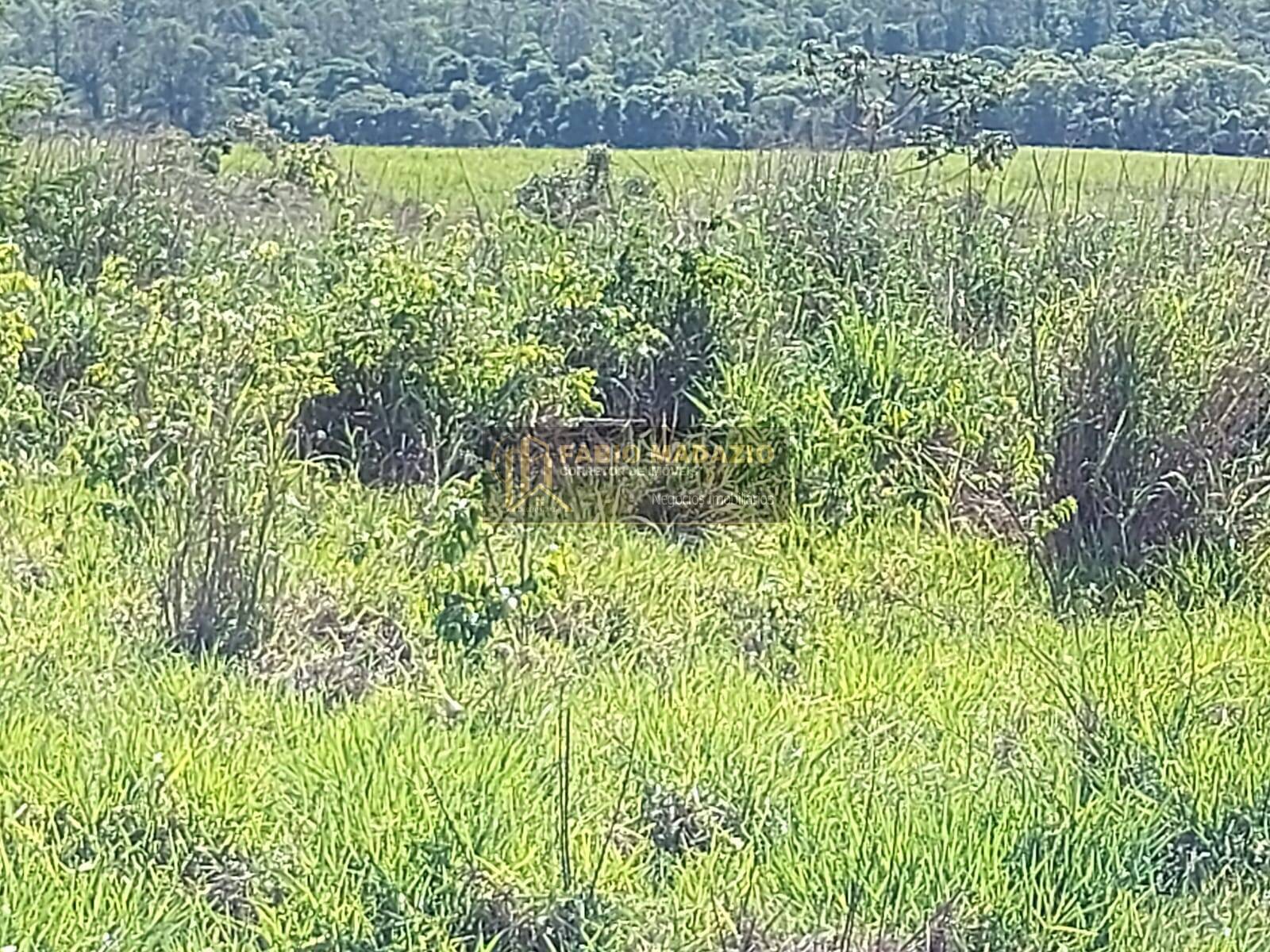 Terreno à venda, 14m² - Foto 7