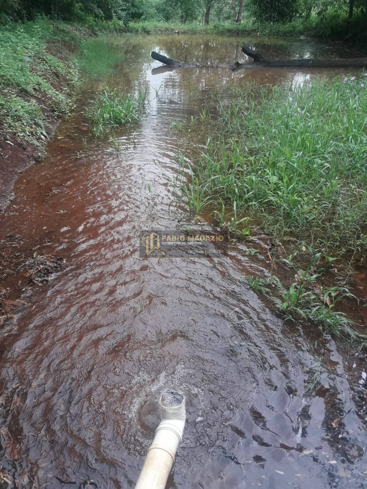 Sítio, 4 quartos, 260 m² - Foto 4