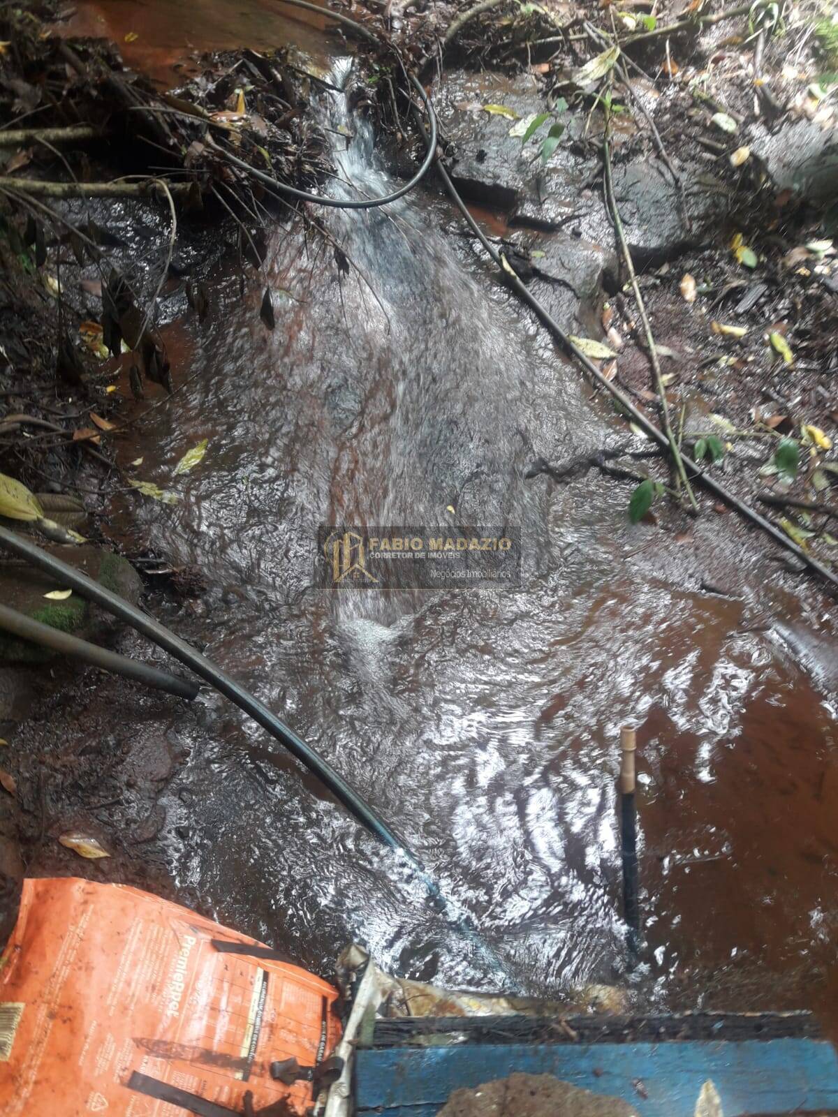 Sítio, 4 quartos, 260 m² - Foto 5