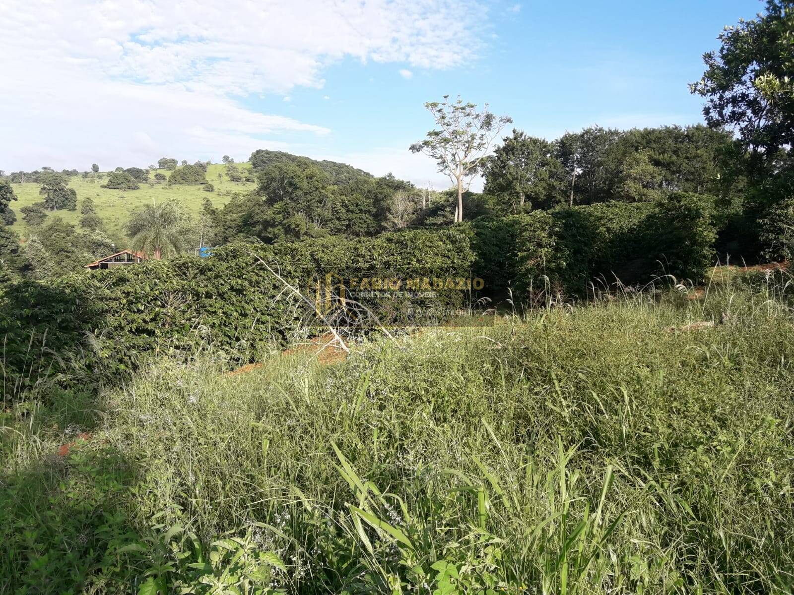 Sítio, 4 quartos, 260 m² - Foto 30