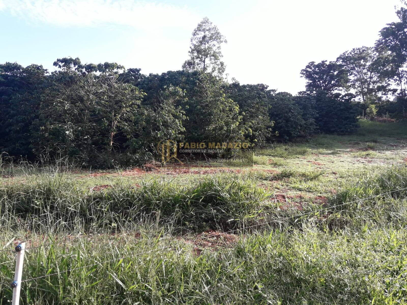 Sítio, 4 quartos, 260 m² - Foto 31