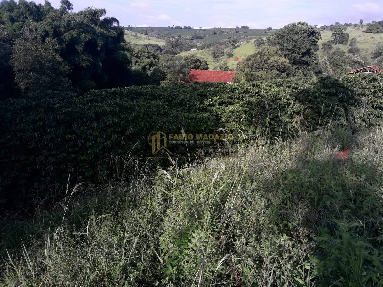 Sítio, 4 quartos, 260 m² - Foto 33