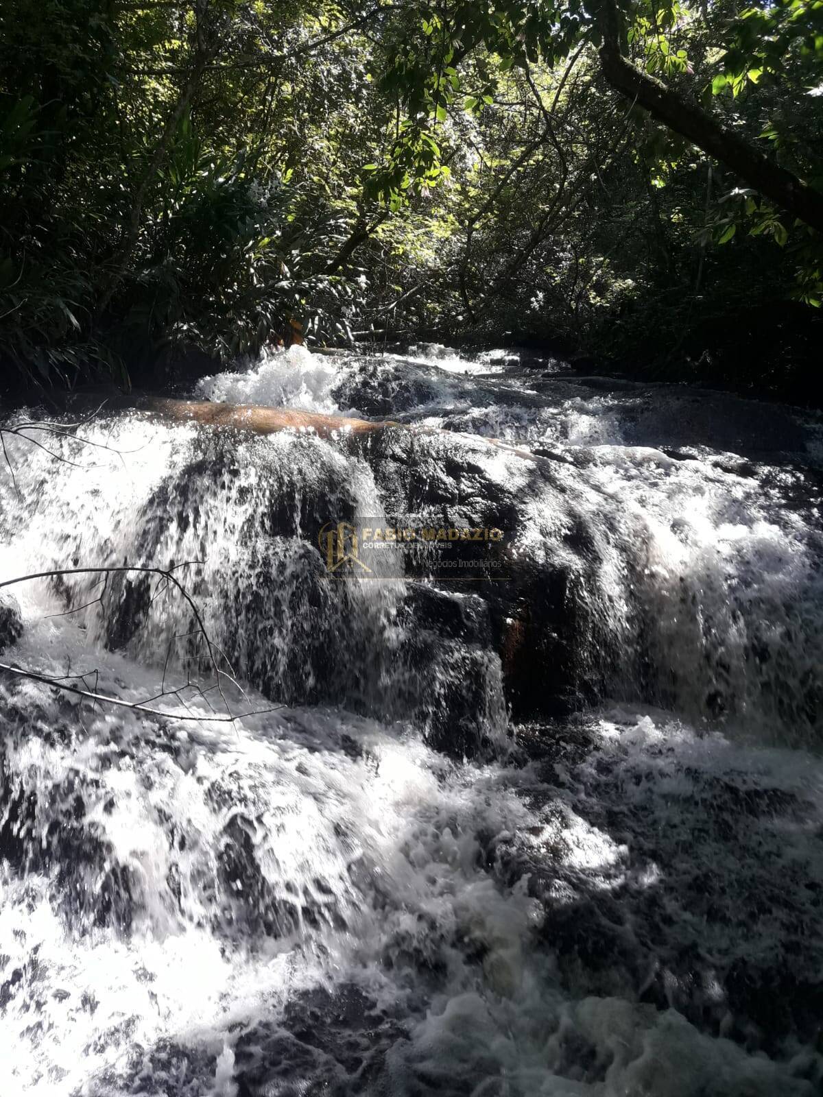 Sítio, 4 quartos, 260 m² - Foto 3