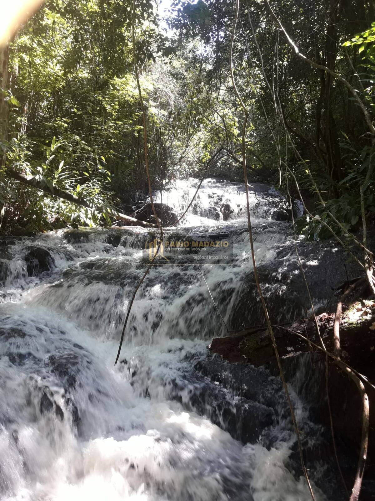 Sítio, 4 quartos, 260 m² - Foto 2