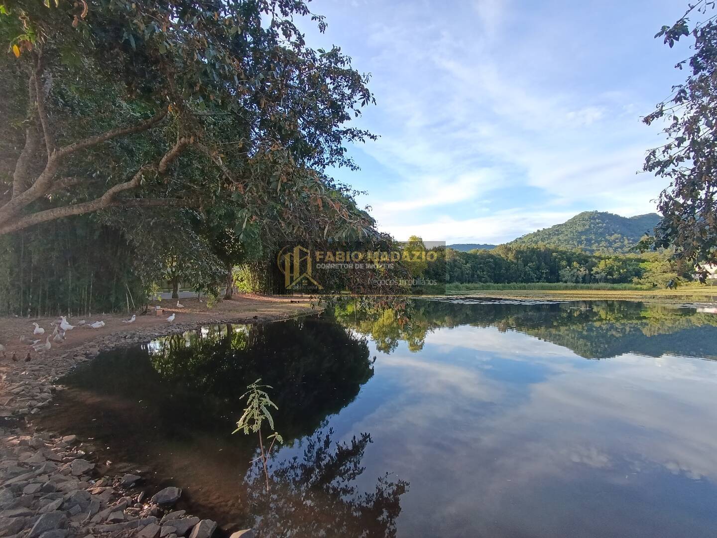 Casa, 3 quartos, 85 m² - Foto 29