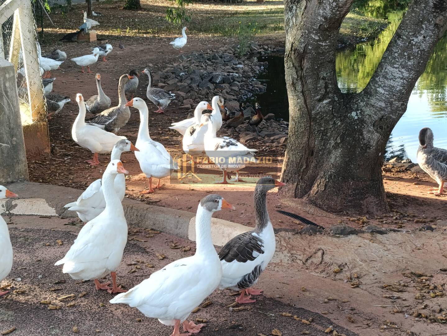 Casa, 3 quartos, 85 m² - Foto 30