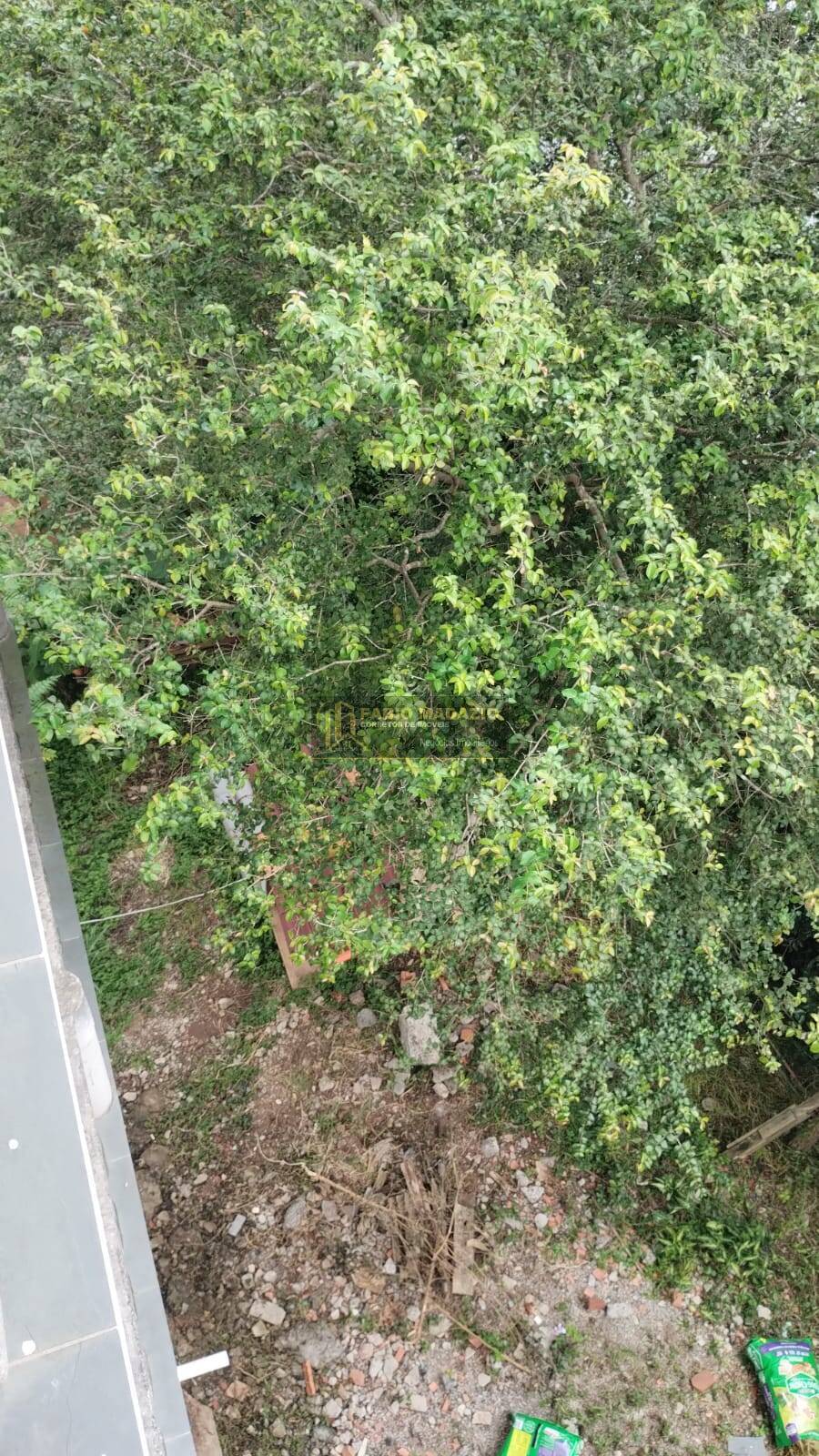 Casa, 2 quartos, 157 m² - Foto 22