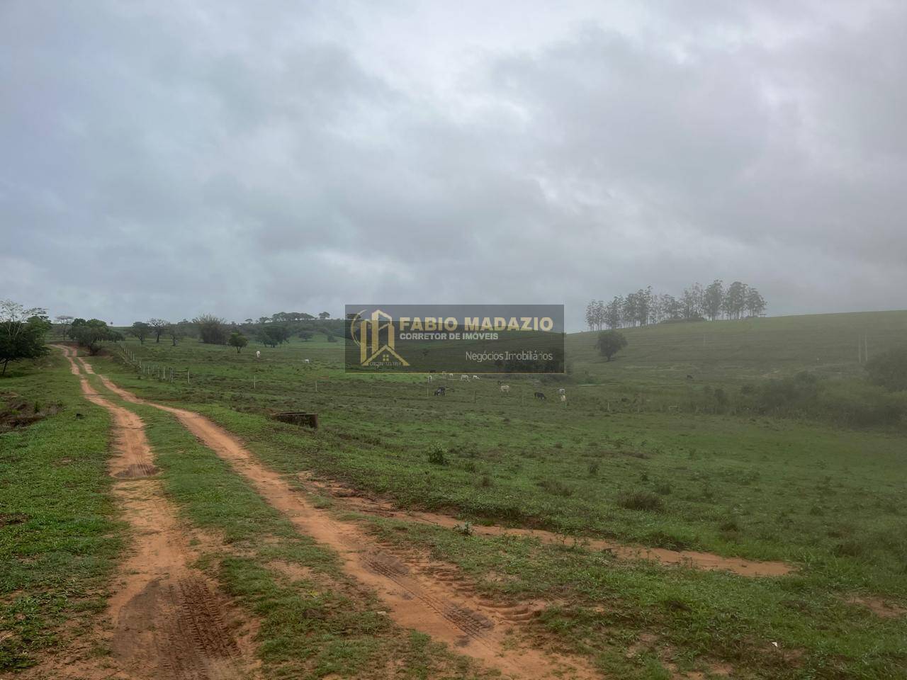 Terreno à venda, 211m² - Foto 8