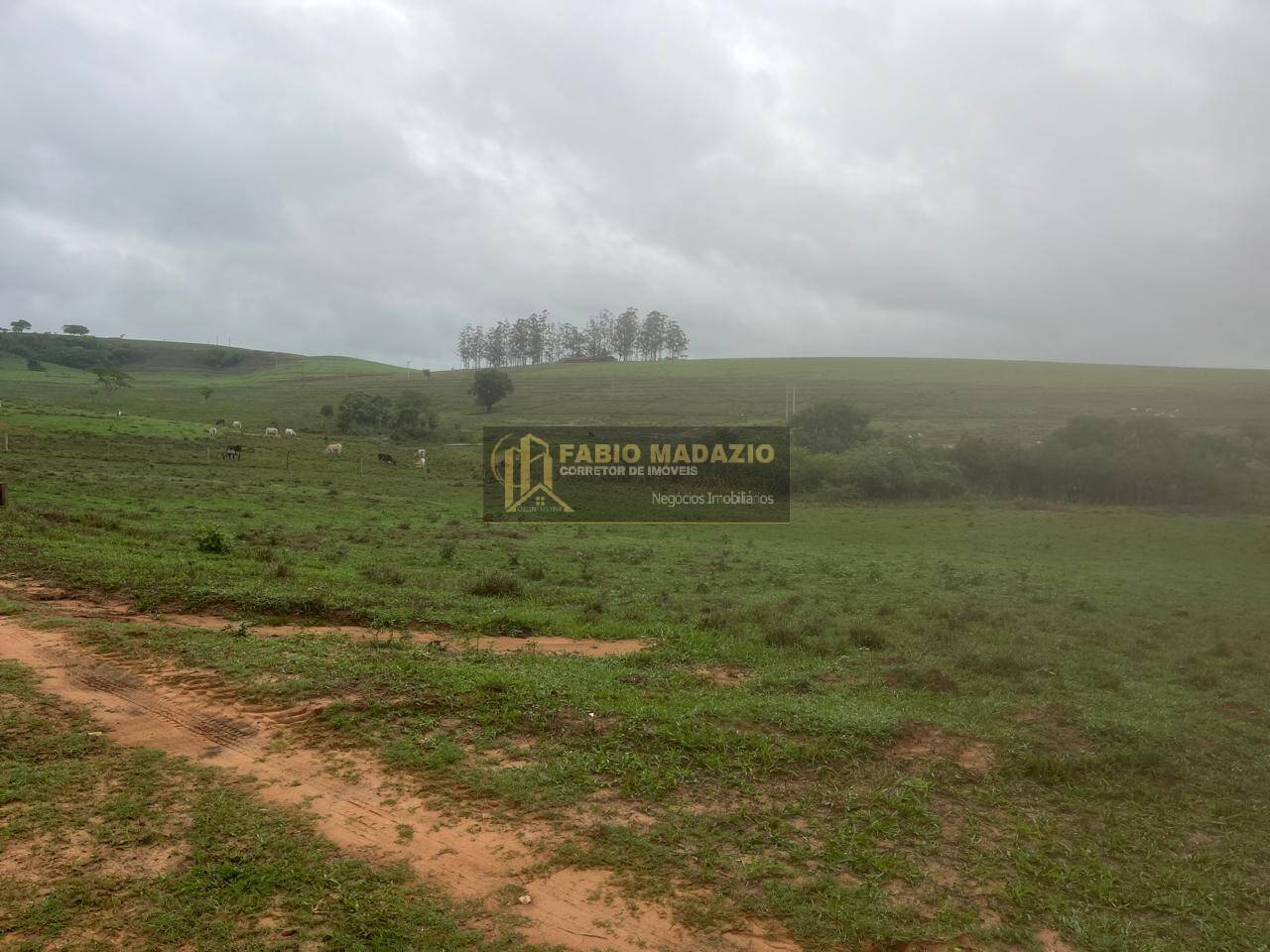 Terreno à venda, 211m² - Foto 6