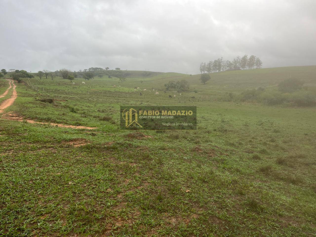 Terreno à venda, 211m² - Foto 19