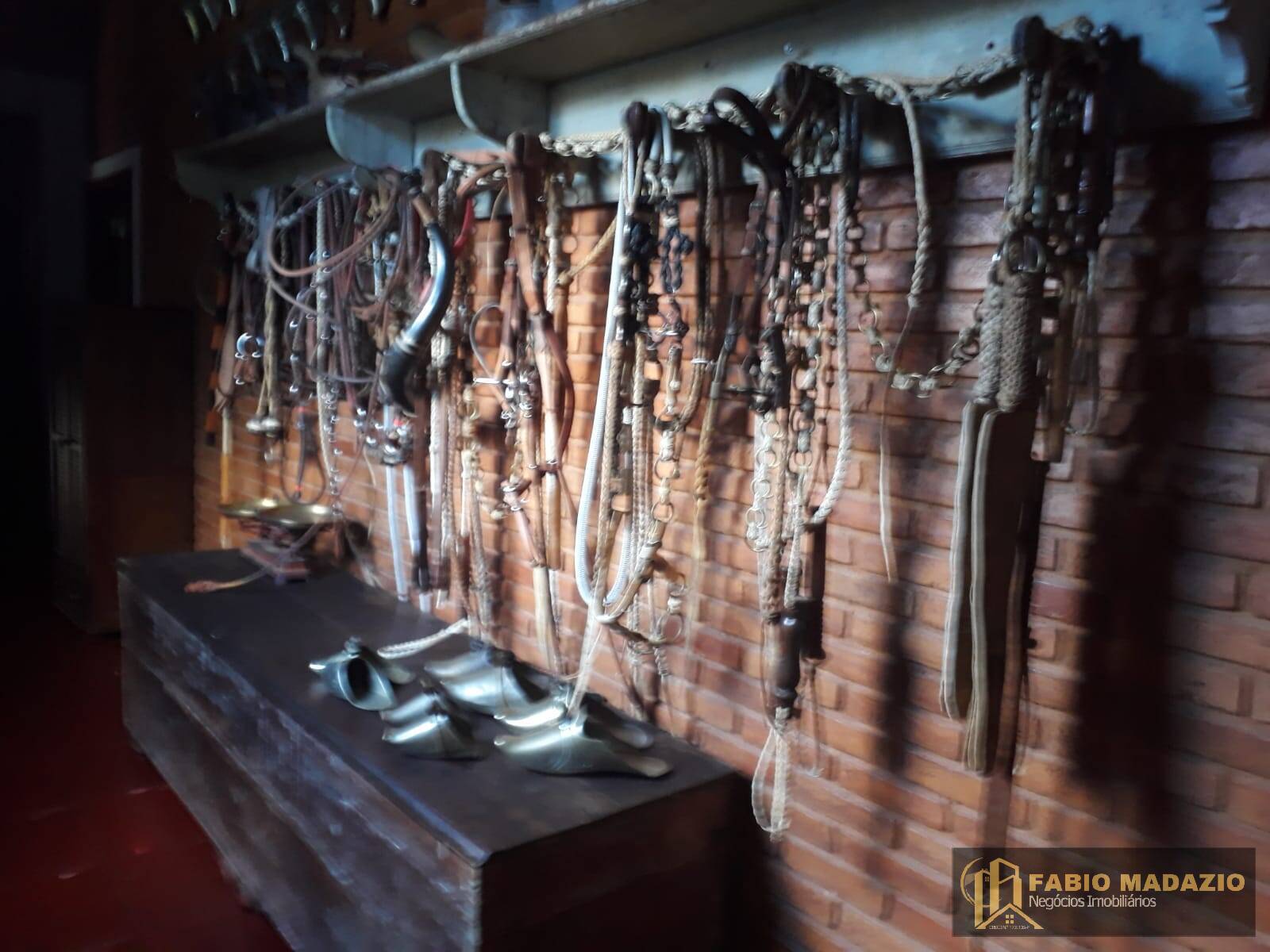 Fazenda à venda com 6 quartos - Foto 8