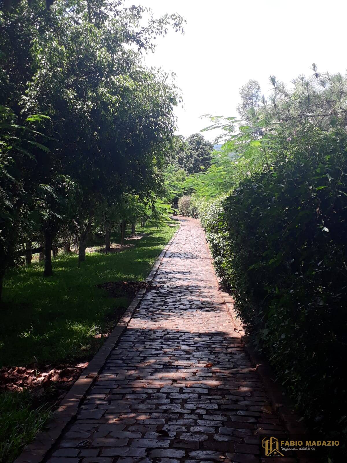 Fazenda à venda com 6 quartos - Foto 21