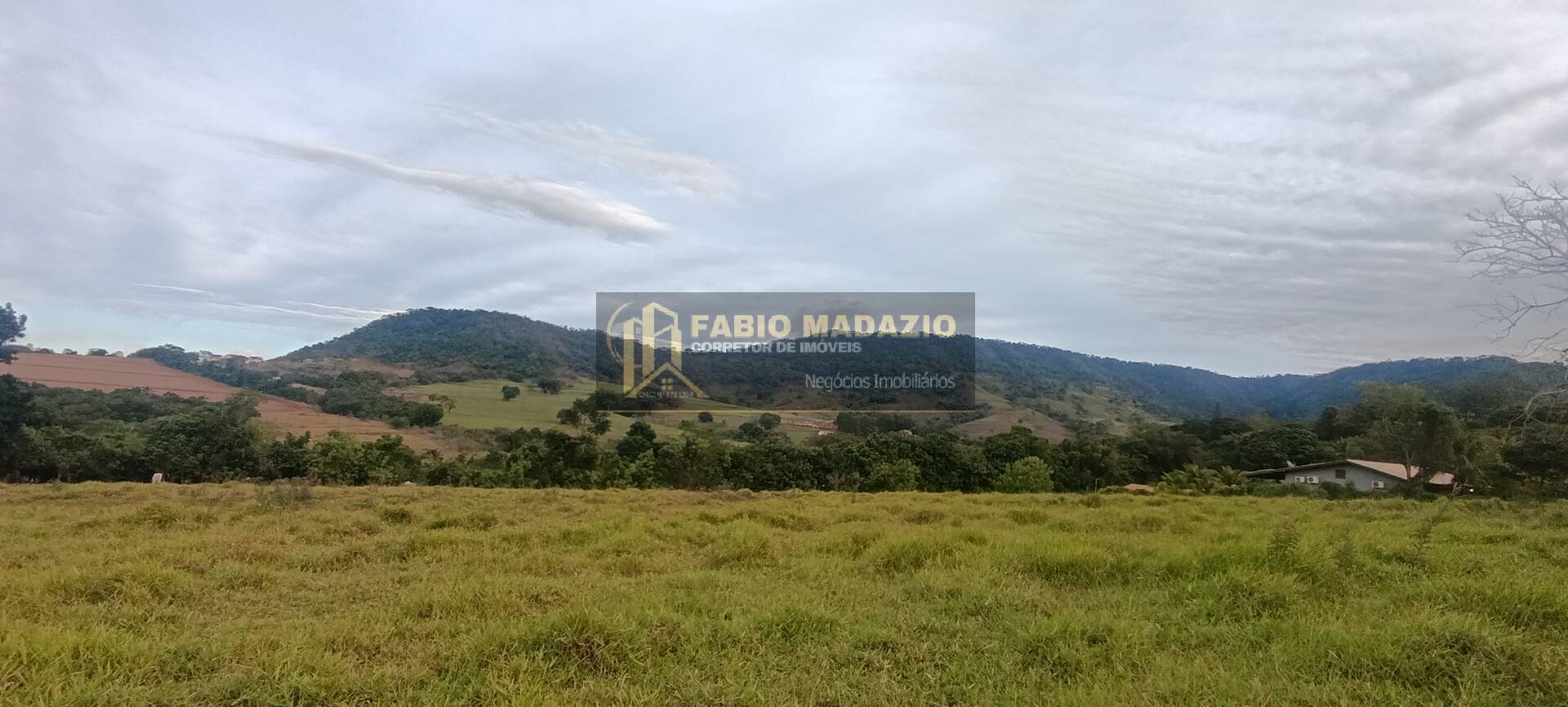 Terreno, 10000 m² - Foto 4