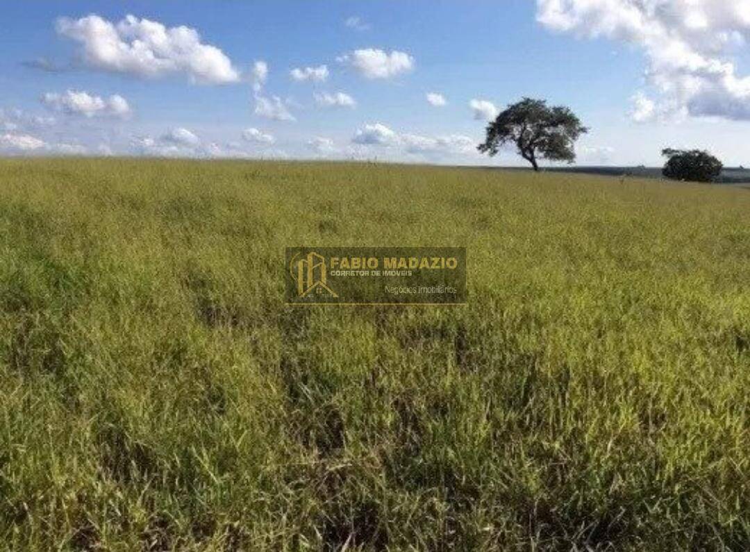 Terreno, 100 m² - Foto 6