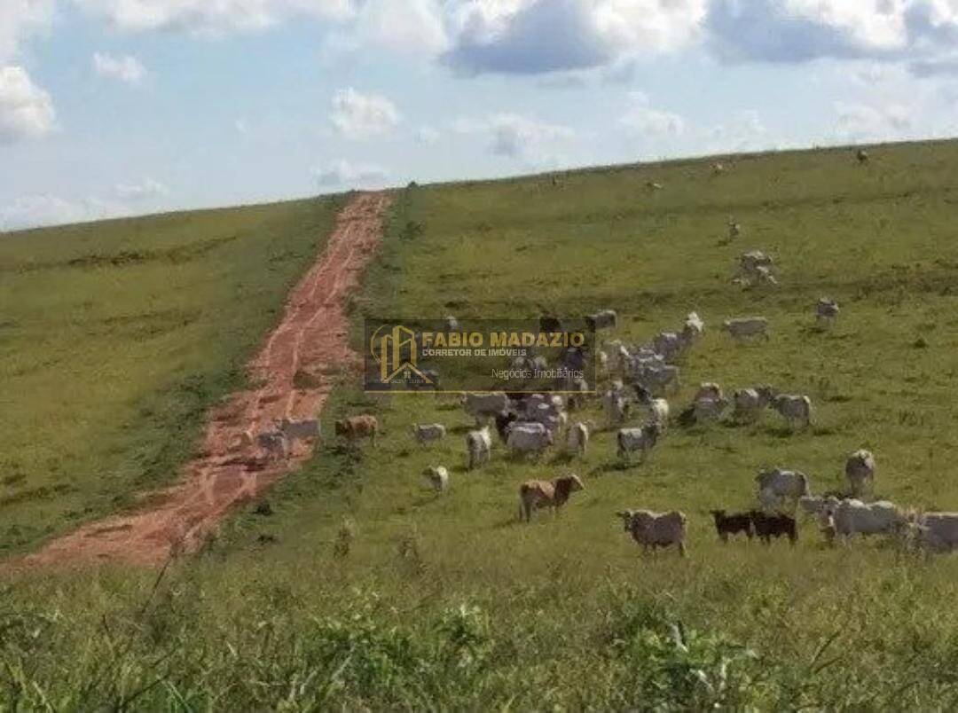 Terreno, 100 m² - Foto 11