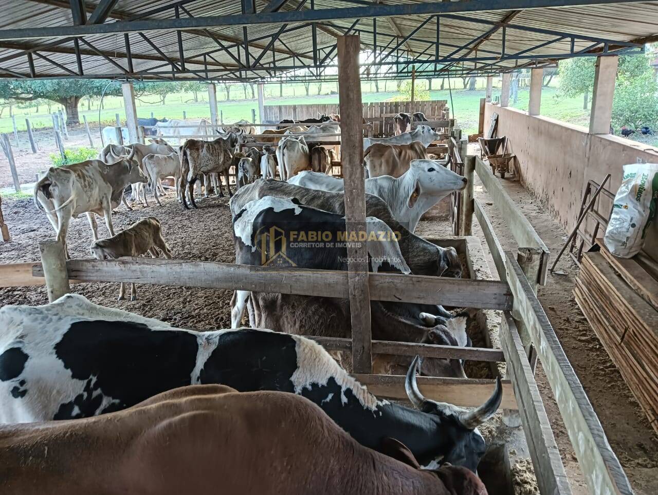 Terreno, 83 m² - Foto 2