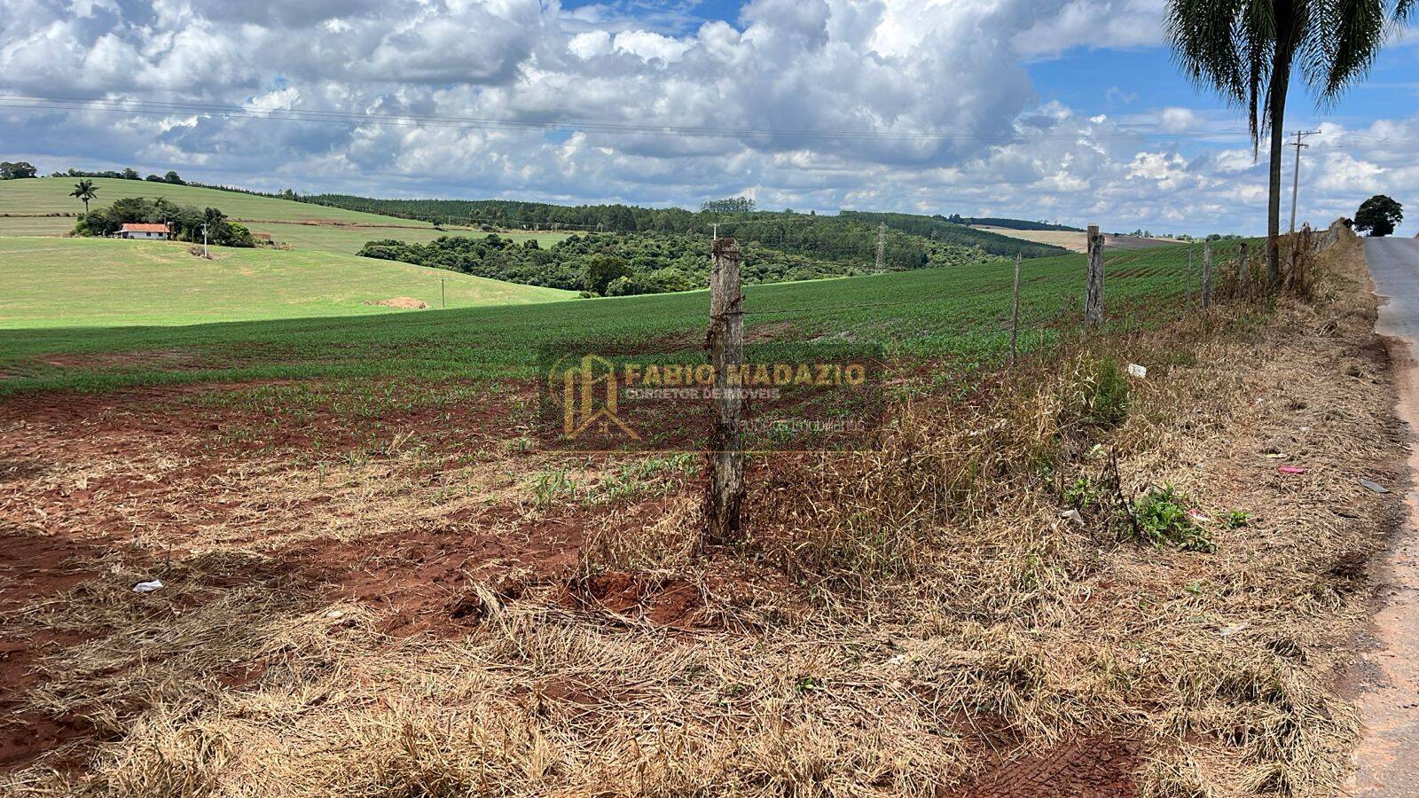 Terreno, 40 m² - Foto 4