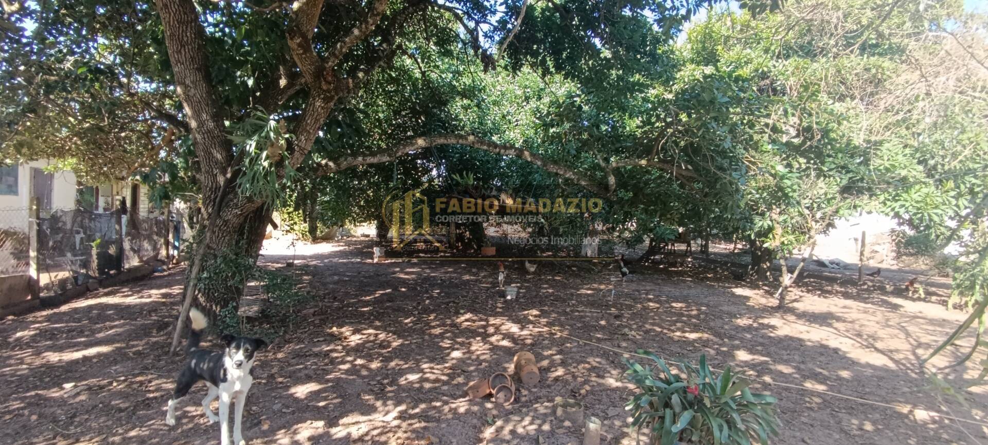 Chácara à venda com 5 quartos, 350m² - Foto 44