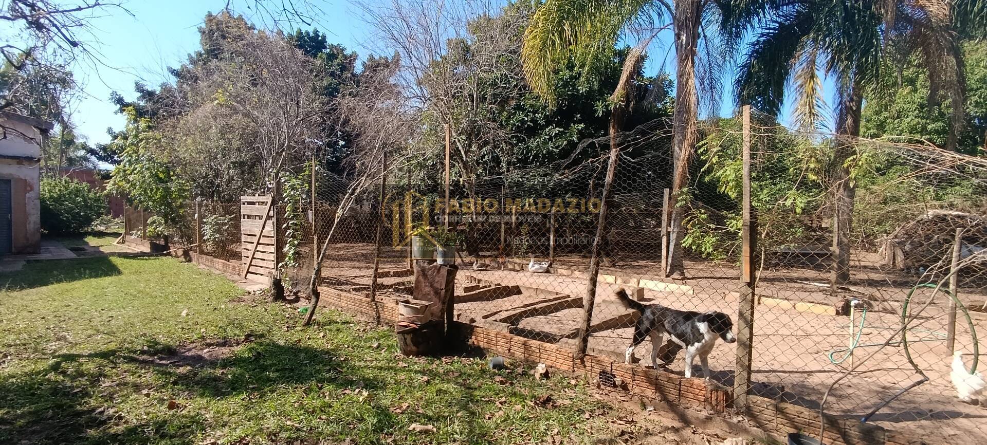 Chácara à venda com 5 quartos, 350m² - Foto 45