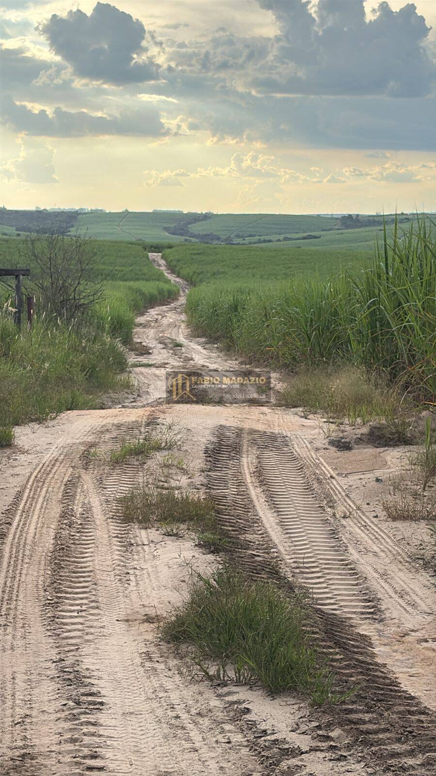 Terreno, 56 m² - Foto 2