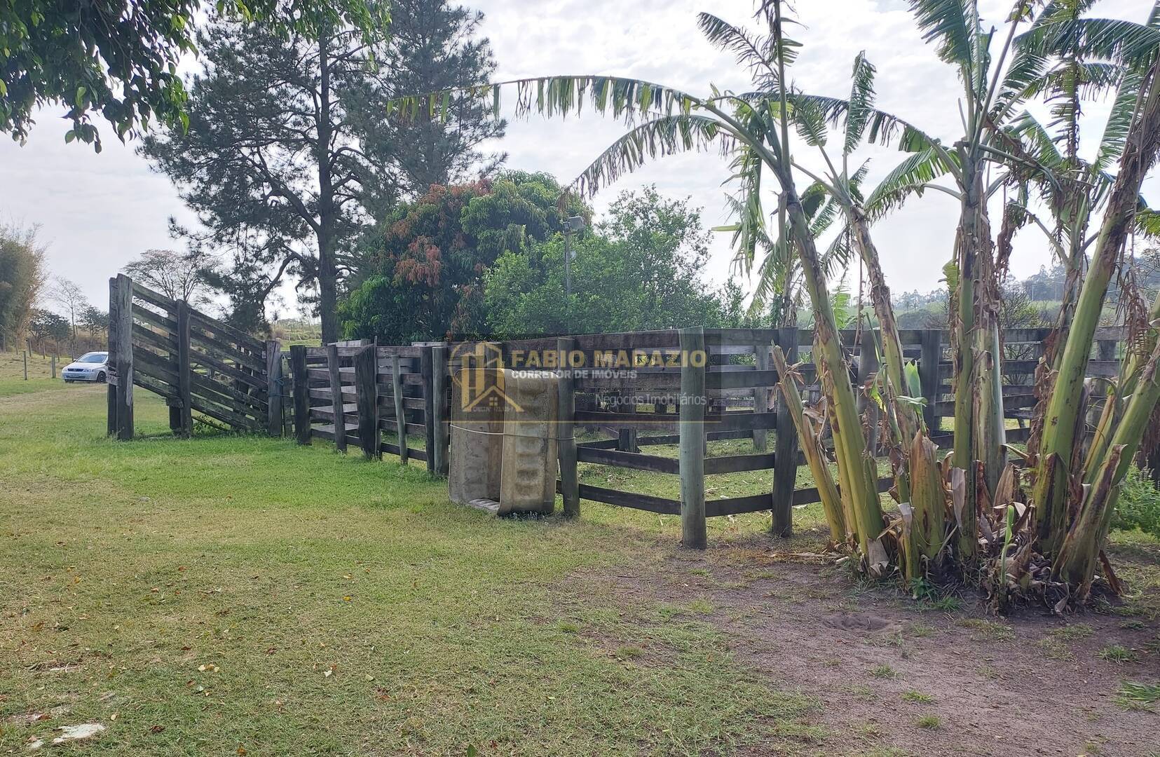 Sítio, 2 quartos, 7 m² - Foto 3