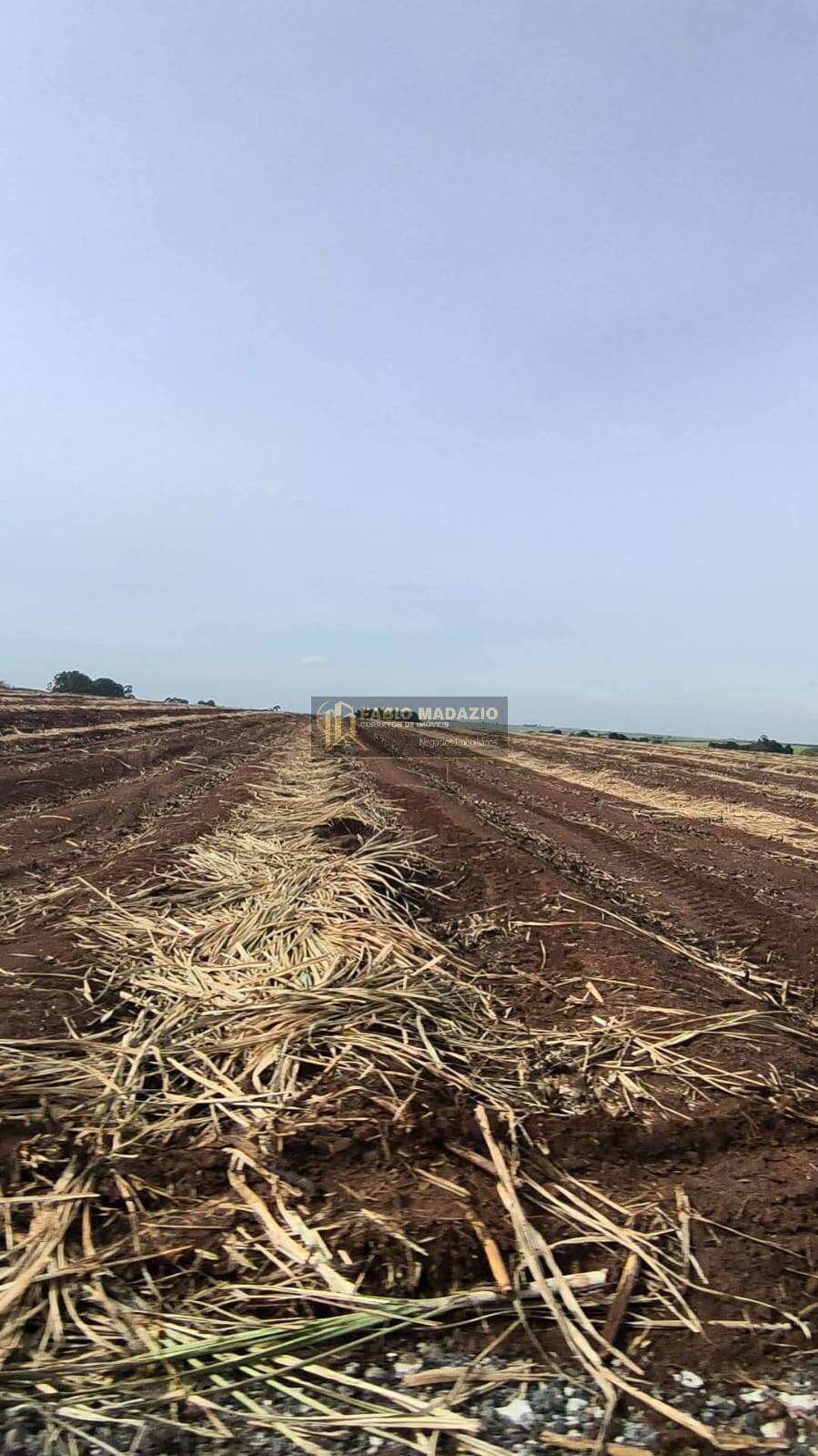 Terreno à venda, 1m² - Foto 1