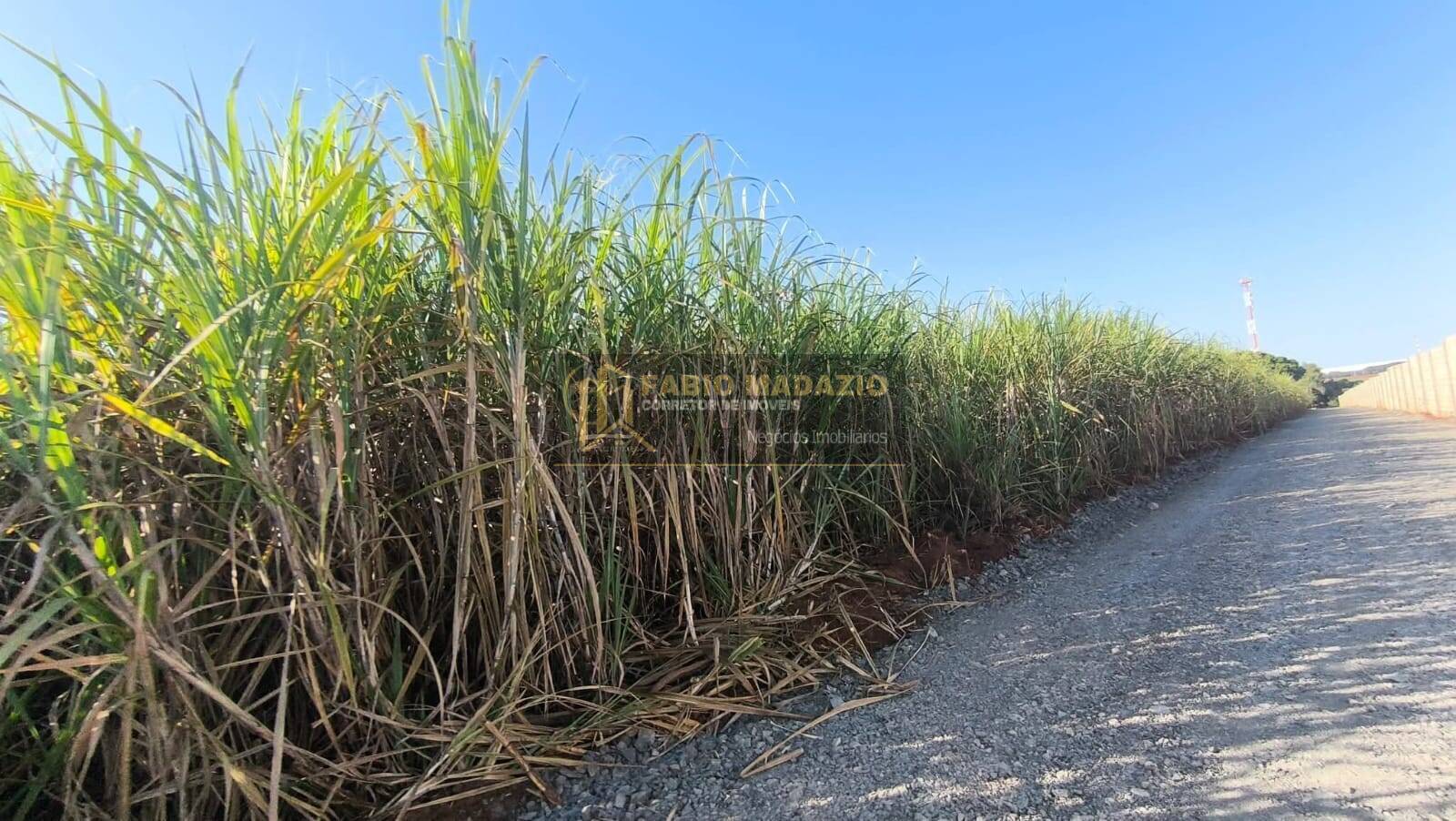 Terreno à venda, 1m² - Foto 2