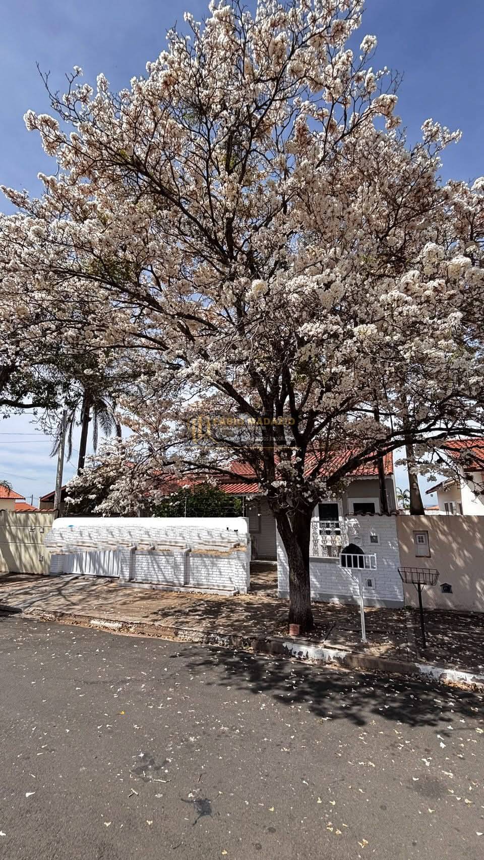 Casa, 2 quartos, 119 m² - Foto 23