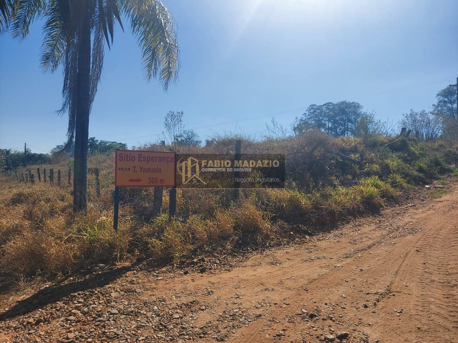 Sítio, 2 quartos, 2 hectares - Foto 14