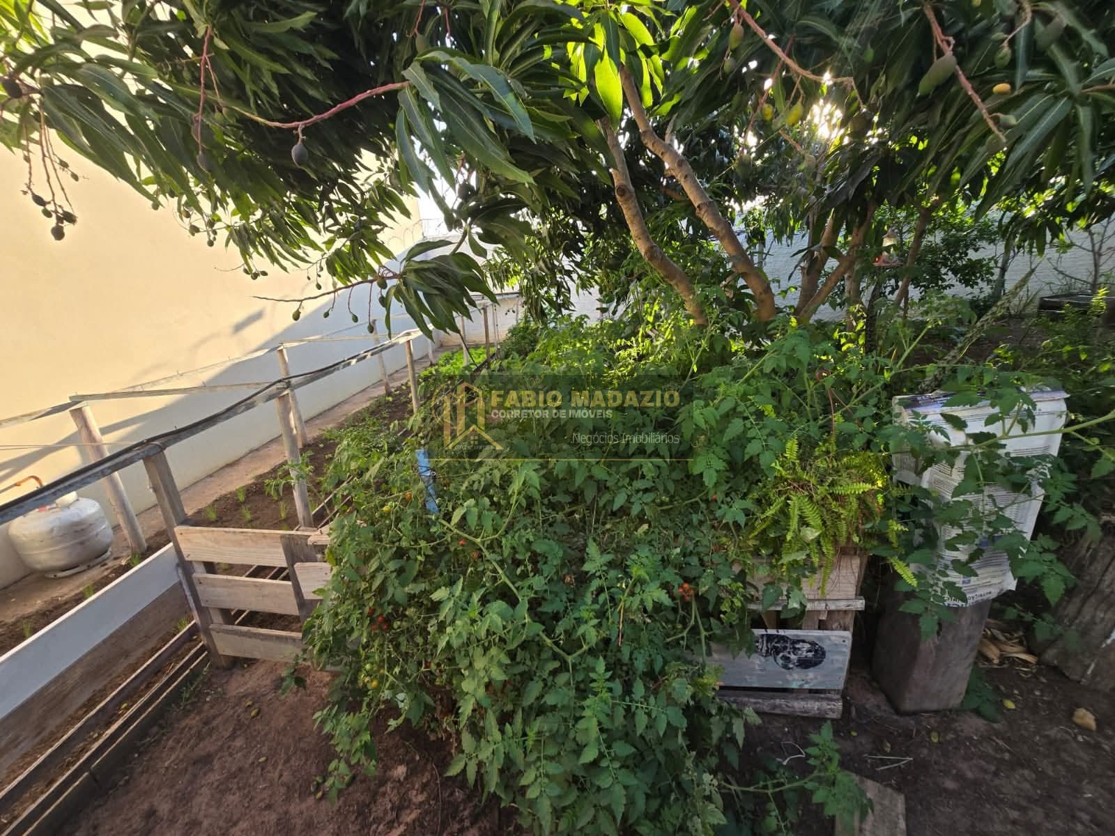 Casa, 3 quartos, 250 m² - Foto 20