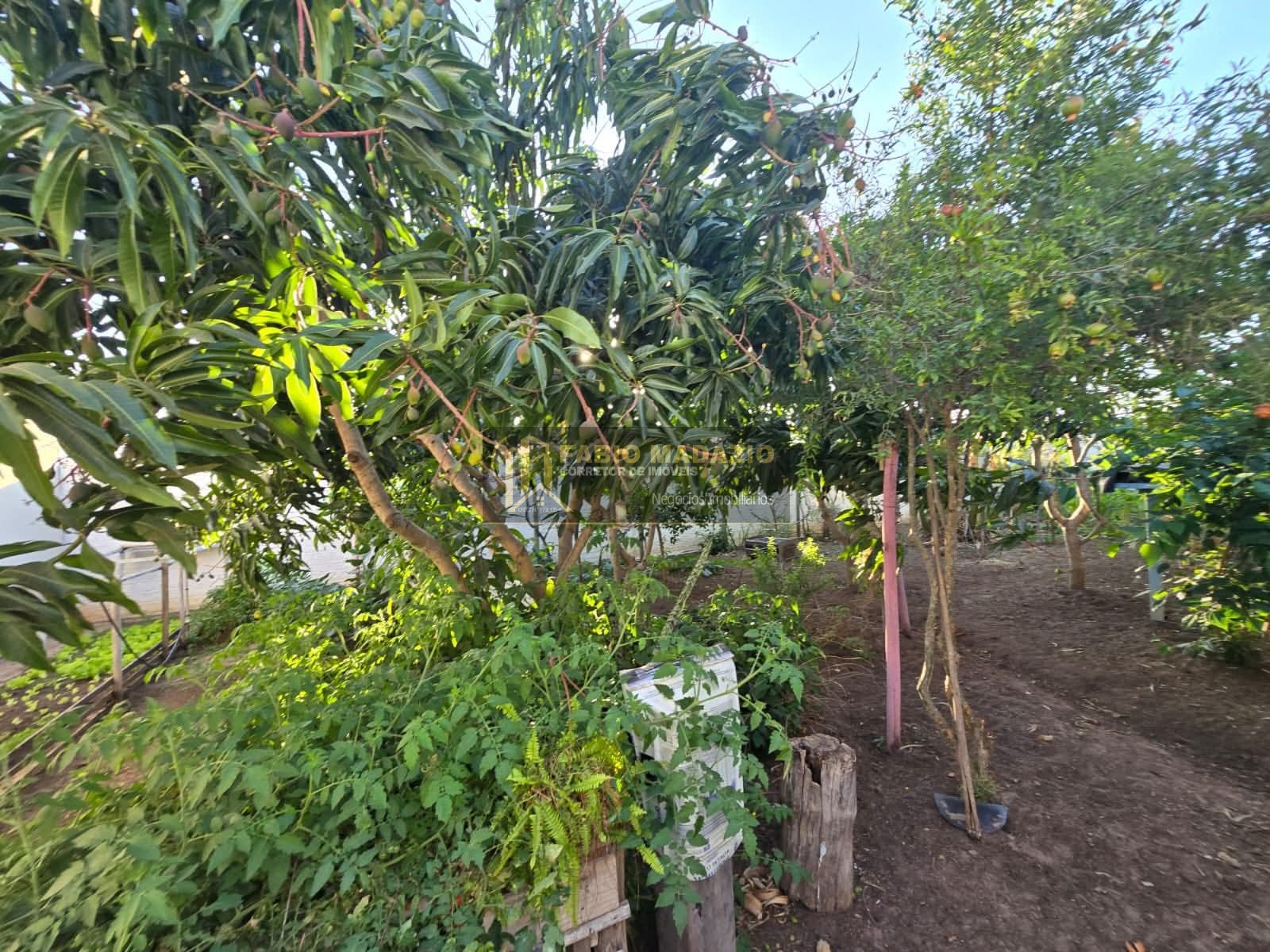 Casa, 3 quartos, 250 m² - Foto 21