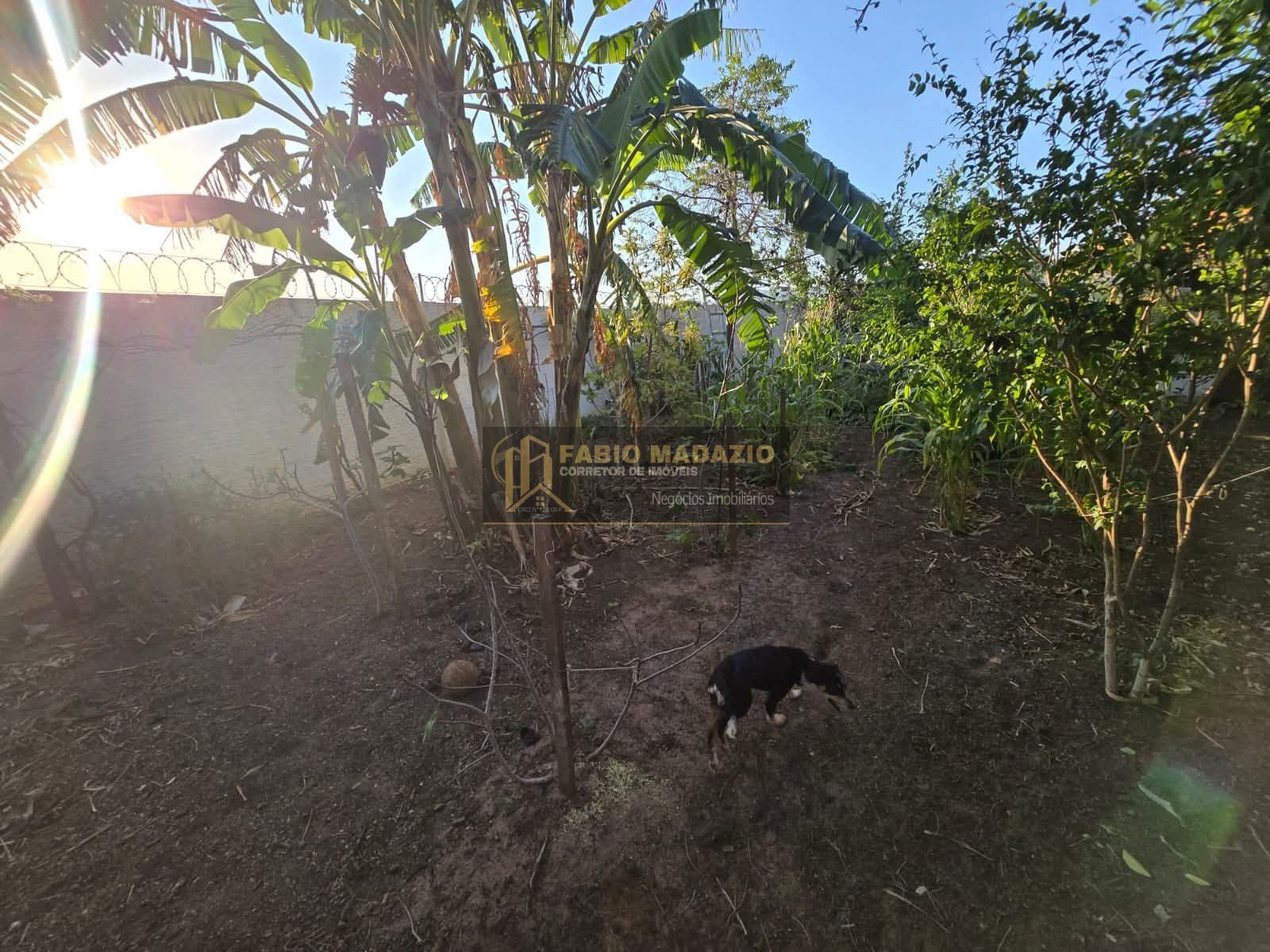 Casa, 3 quartos, 250 m² - Foto 23