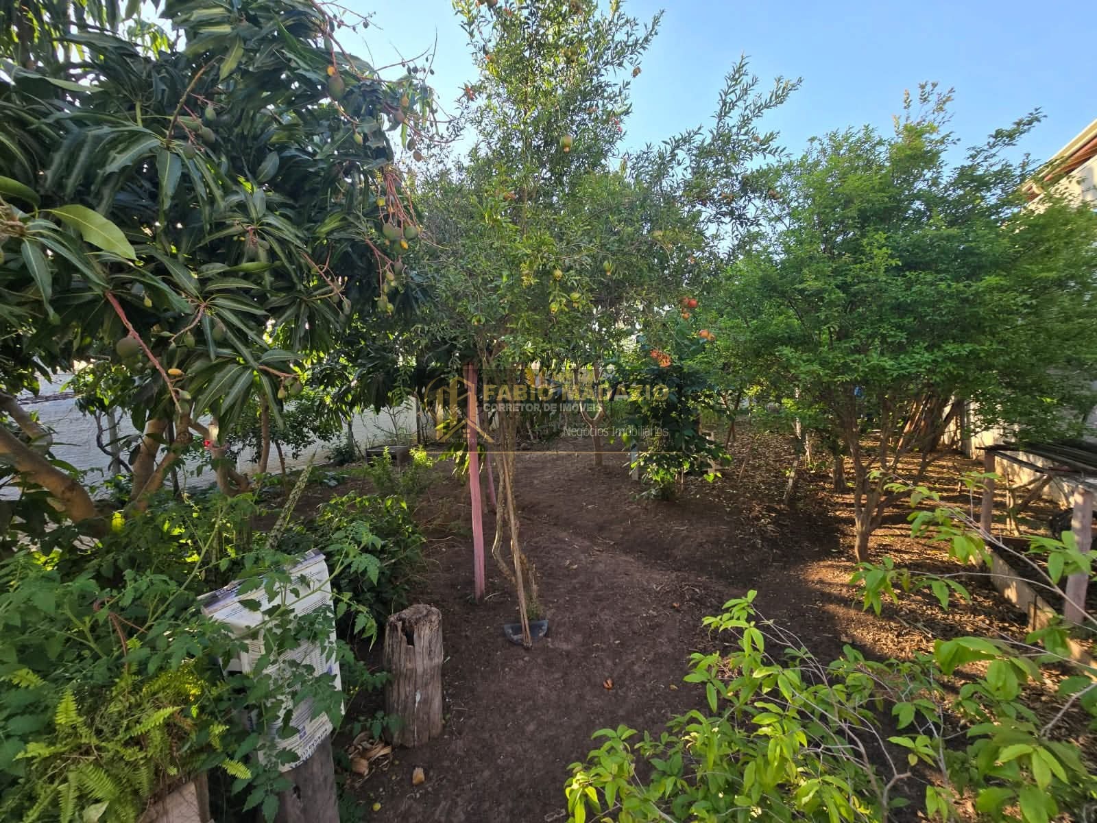 Casa, 3 quartos, 250 m² - Foto 24