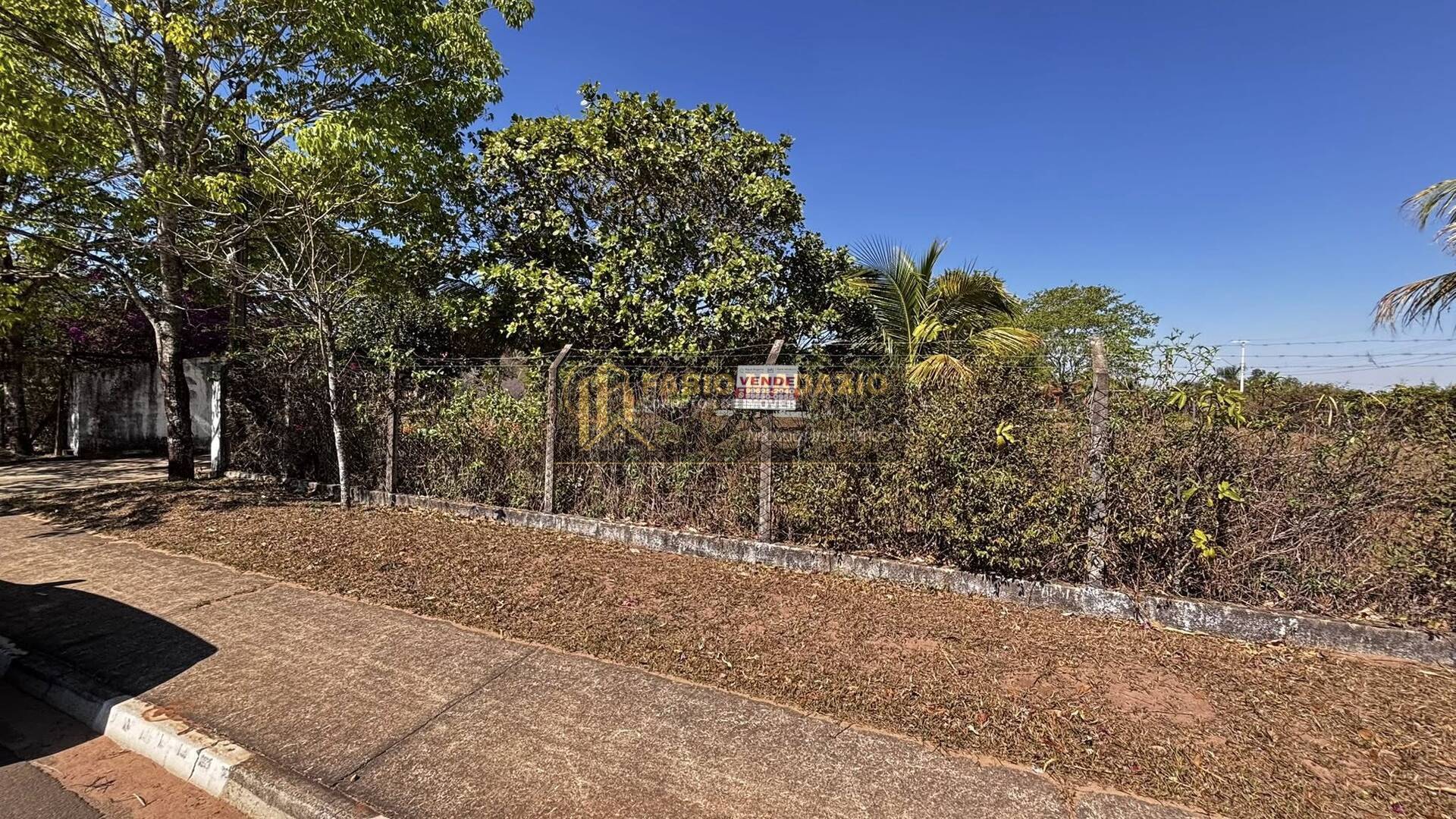 Chácara, 7 quartos, 5000 m² - Foto 4