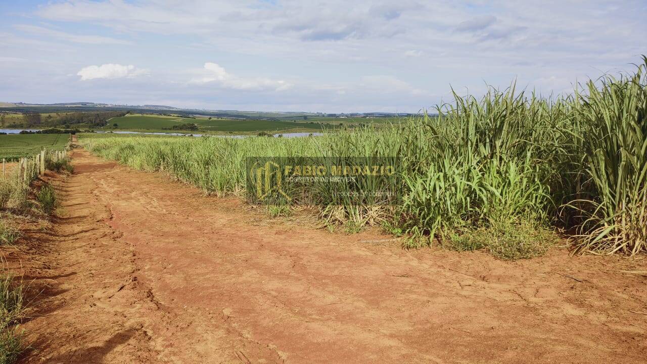 Terreno, 125 m² - Foto 4