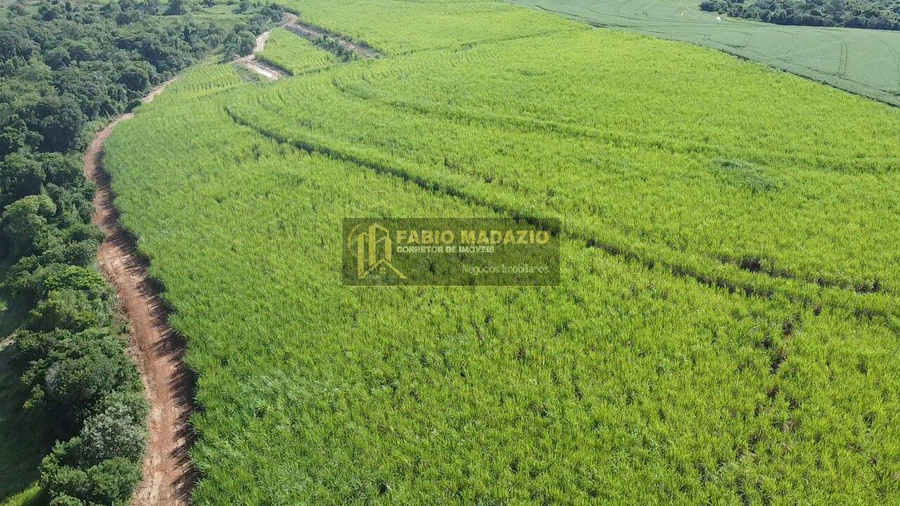 Terreno, 125 m² - Foto 6