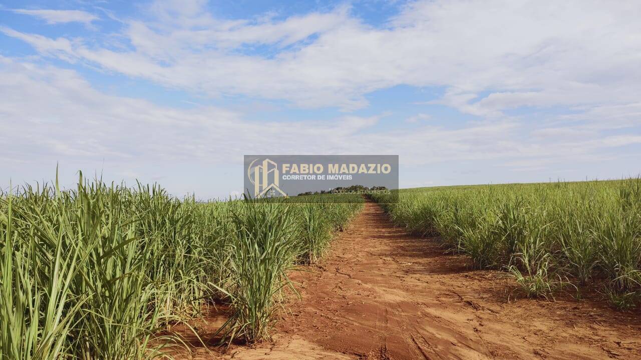 Terreno, 125 m² - Foto 7