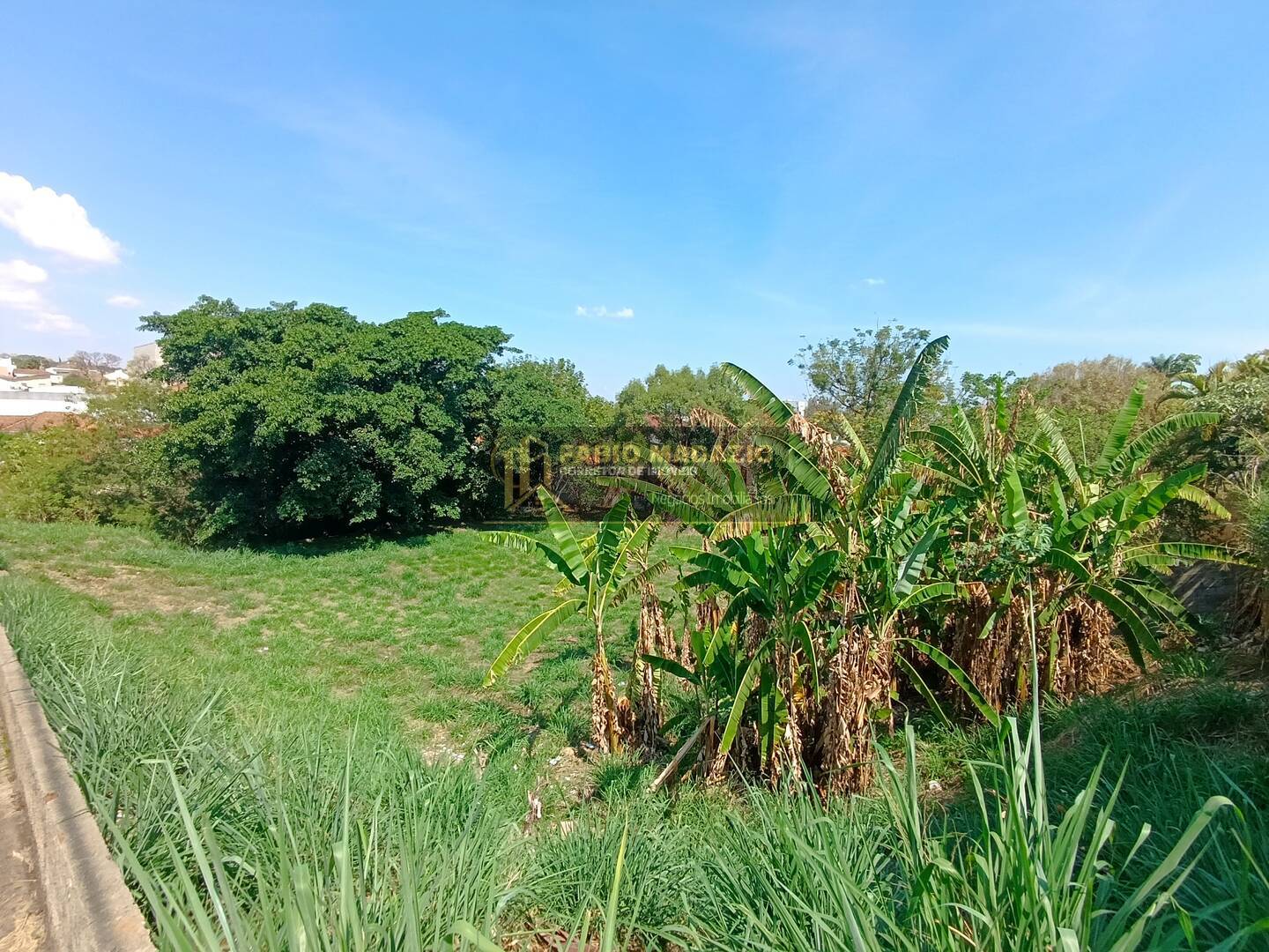 Terreno, 2000 m² - Foto 5