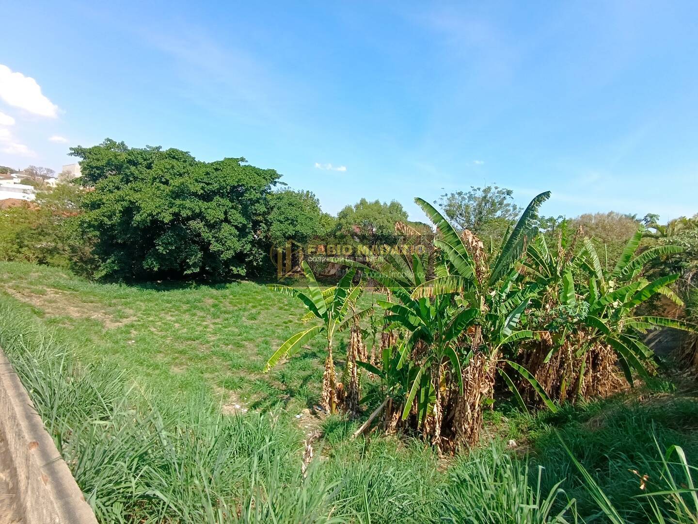 Terreno, 2000 m² - Foto 6